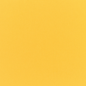 Canvas Sunflower Yellow