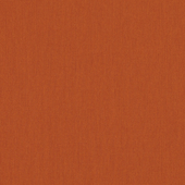 Canvas Rust