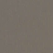 Spectrum Graphite