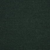 Spectrum Carbon