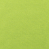 Canvas Macaw